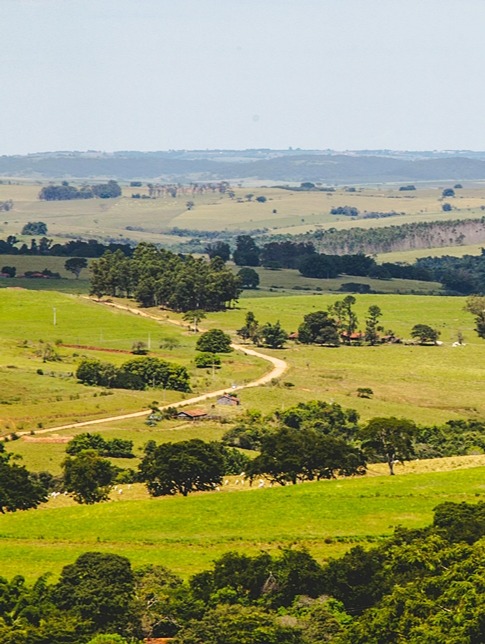 Lançamento foto 2.jpg