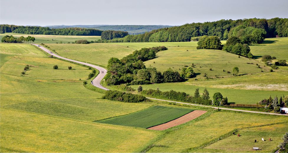 Lançamento Testa.jpg